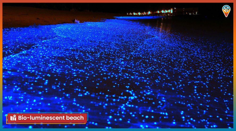 Bio-luminescent-beach